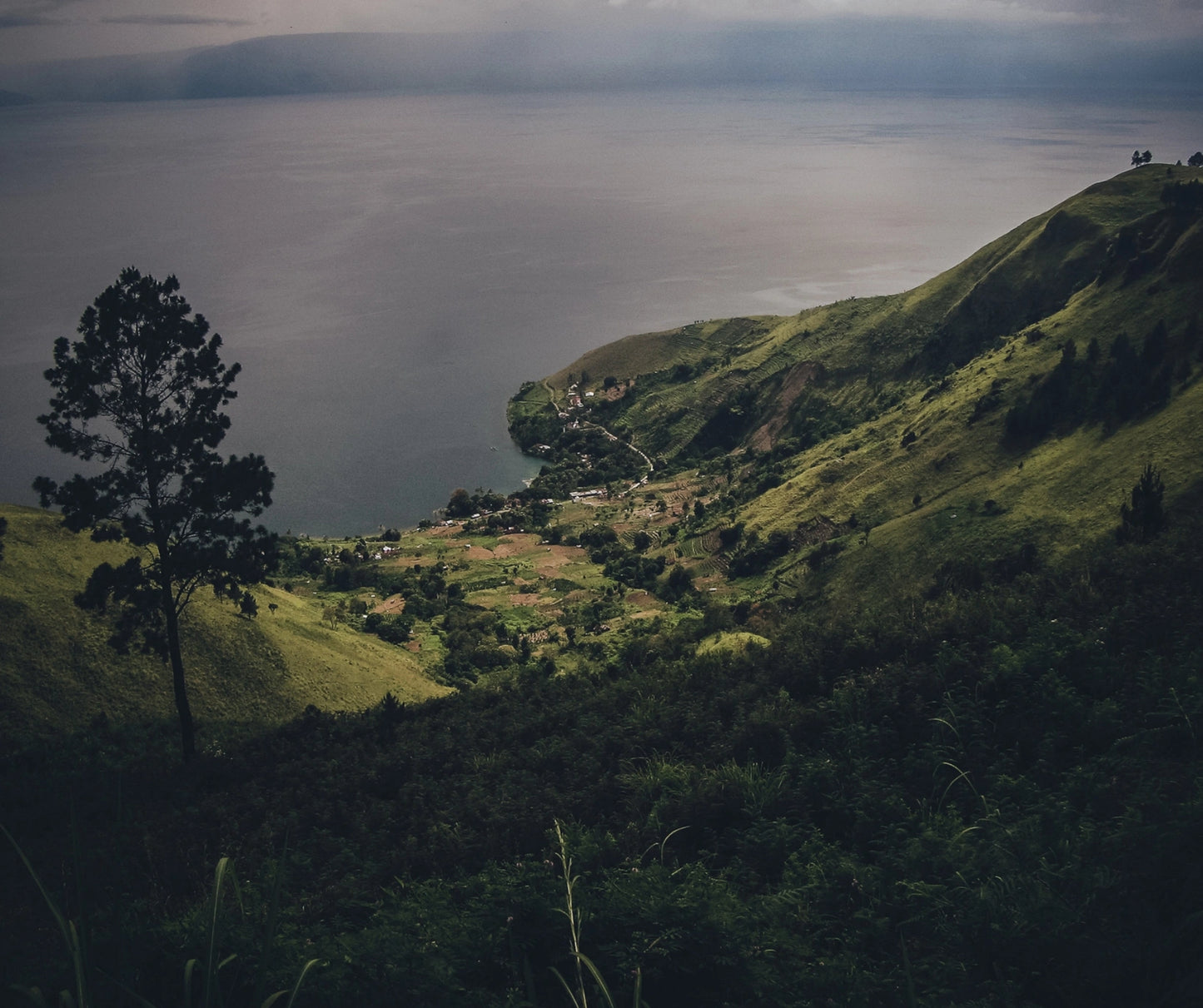 Sumatran